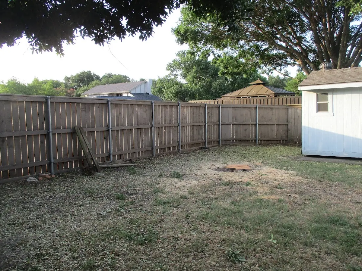 Cleared yard after professional tree removal in University Park